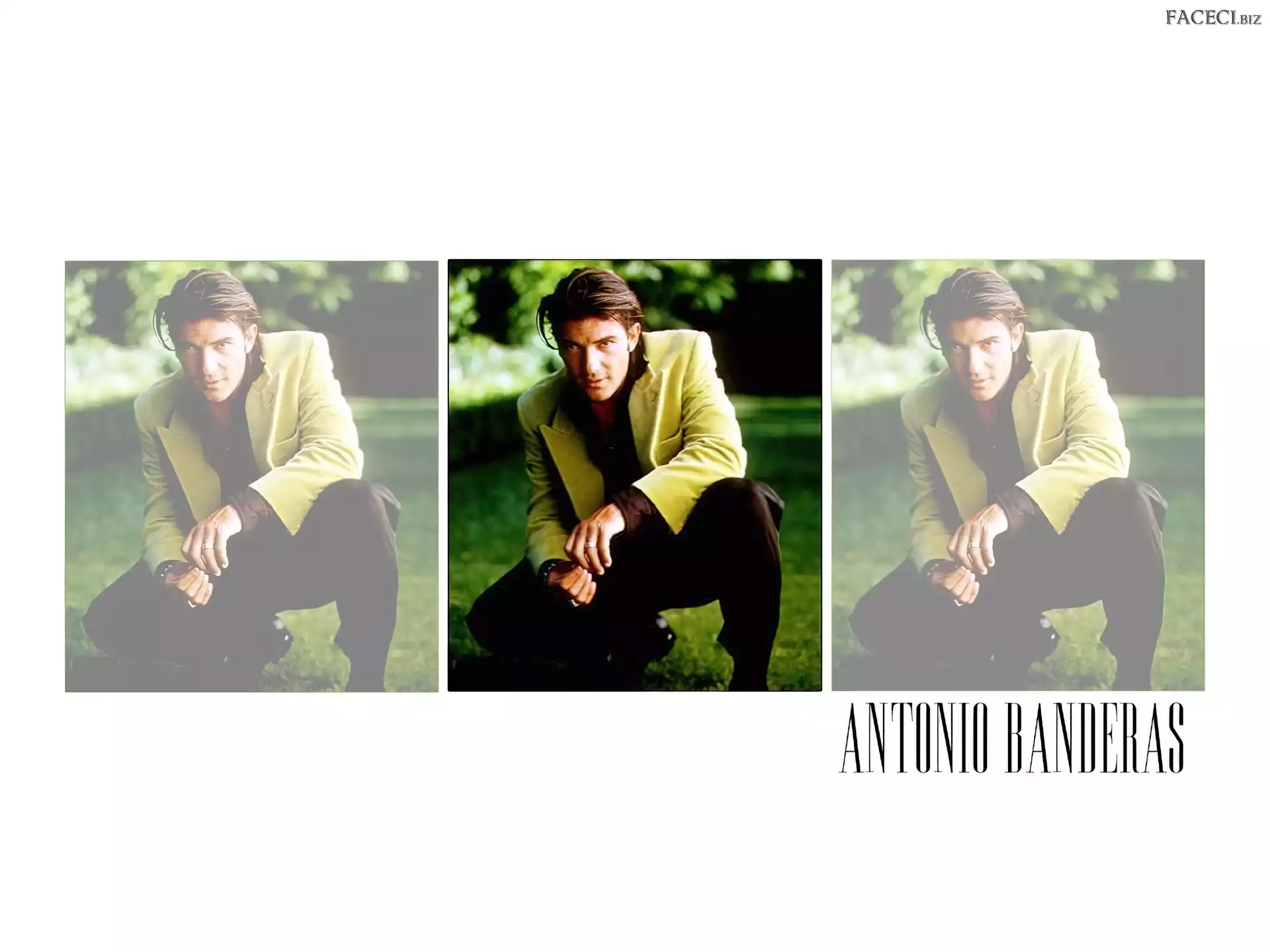 marynarka, Antonio Banderas, zielona